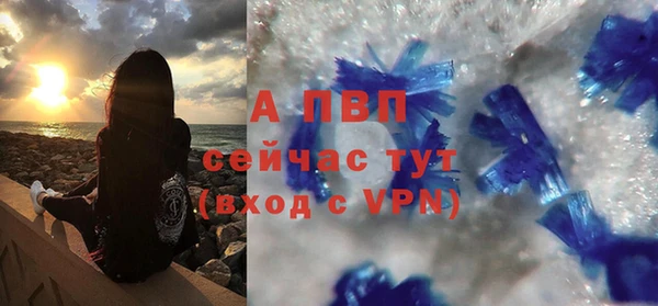 шишки Дмитров