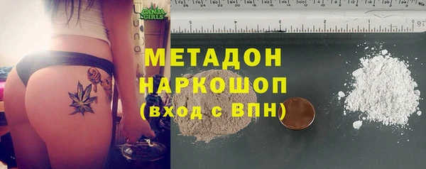 шишки Дмитров