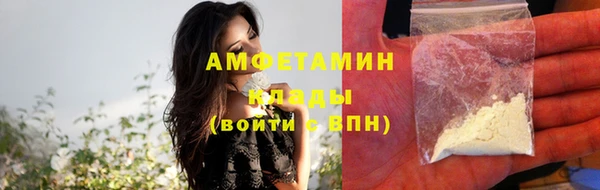 шишки Дмитров