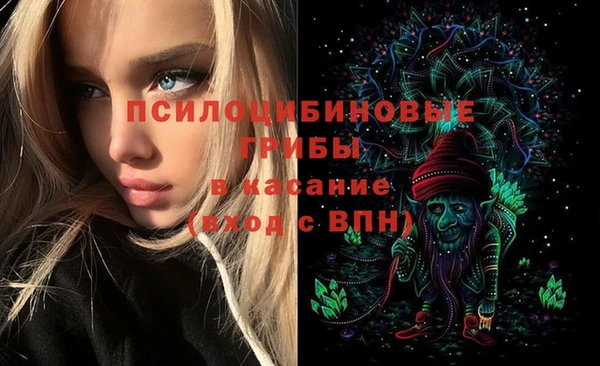 MDMA Дмитриев