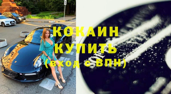 шишки Дмитров