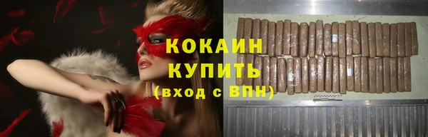 шишки Дмитров