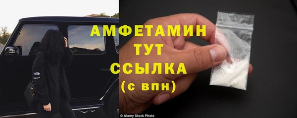 шишки Дмитров
