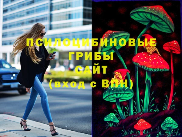 MDMA Дмитриев