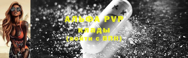 шишки Дмитров