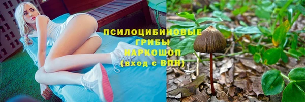 кокс Дмитровск