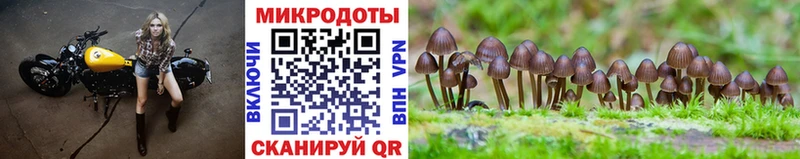Галлюциногенные грибы мухоморы  Купить  Краснозаводск 