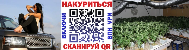 Конопля LSD WEED  Купить закладки  Краснозаводск 